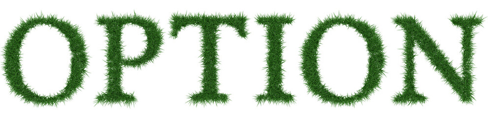 Option - 3D rendering fresh Grass letters isolated on whhite background.