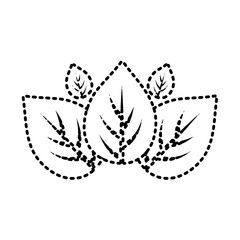 leaves icon over white background vector illustration