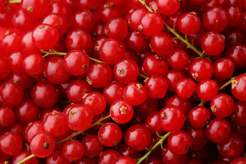 Ripe and sweet currants background