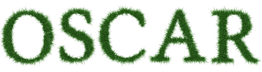 Oscar - 3D rendering fresh Grass letters isolated on whhite background.