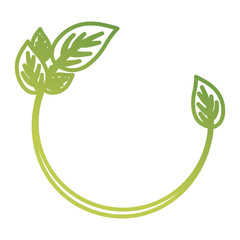 decorative circular frame with leaves icon over white background colorful design vector illustration