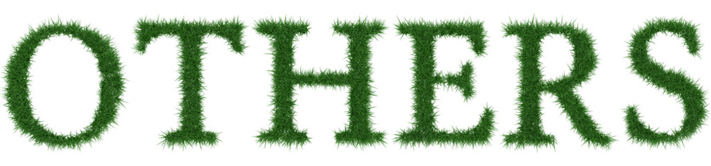 Others - 3D rendering fresh Grass letters isolated on whhite background.