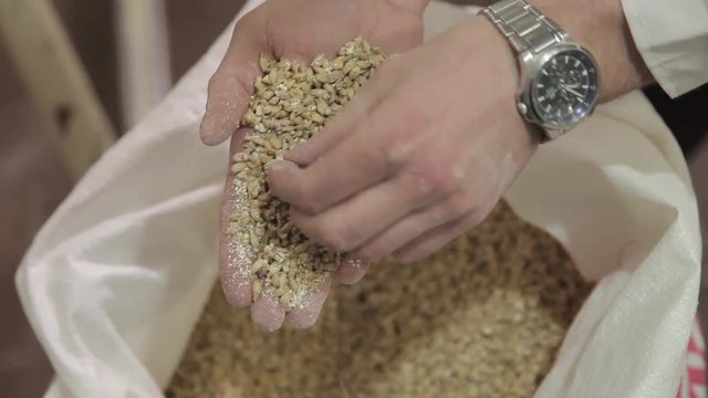 malt in bags for brewing