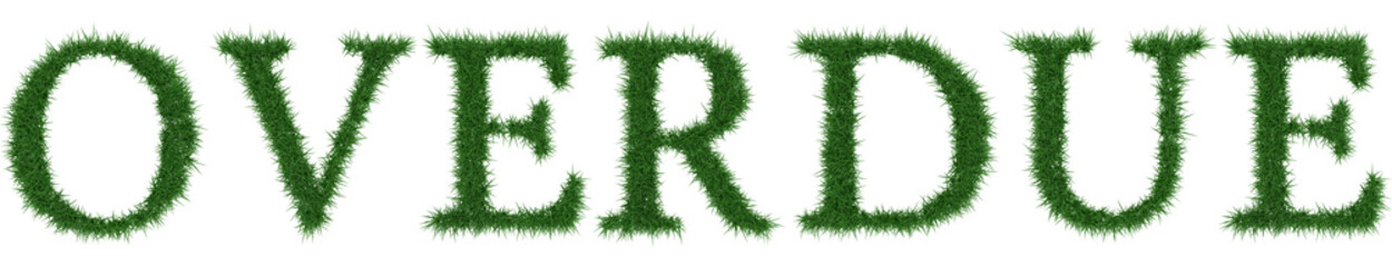 Overdue - 3D rendering fresh Grass letters isolated on whhite background.