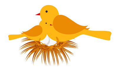Birds on Nest