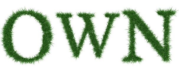 Own - 3D rendering fresh Grass letters isolated on whhite background.