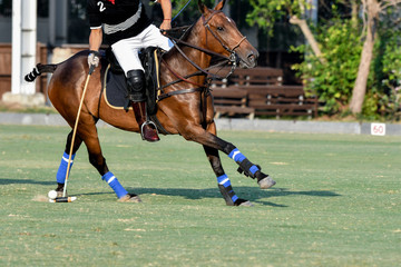 Horse polo player hit a polo ball