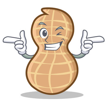 Wink Peanut Character Cartoon Style