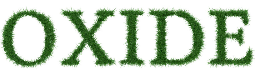 Oxide - 3D rendering fresh Grass letters isolated on whhite background.