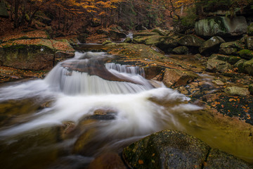 Obraz premium Autumn yellow forest and stone river stream.