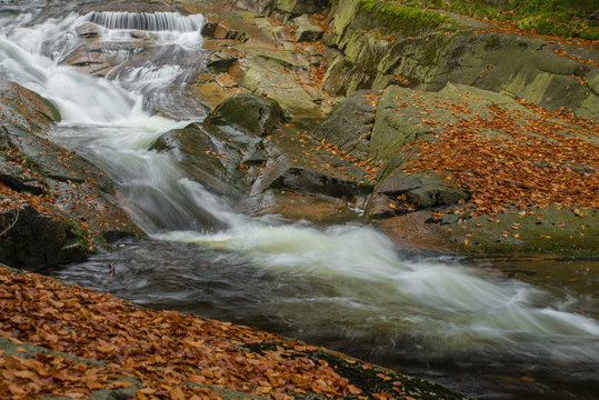 Autumn yellow forest and stone river stream.
