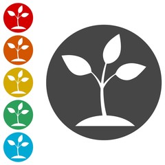 Young plant vector icons set 