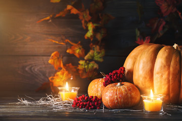 Pumpkins on a wooden table. Autumn still-life. Halloween.