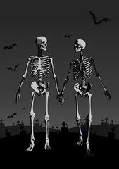 A couple of skeleton lover illustration on dark BG