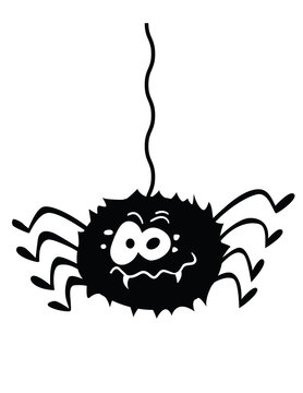 funny spider! 