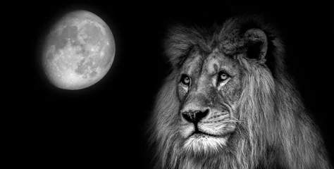 Crédence de cuisine en verre imprimé Lion Lion de portrait noir et blanc avec la lune