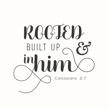 typography Rooted and built up in him from Colossians, new testament, bible verse for encourage