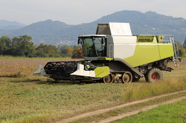 huge Combine harvesting during cereal harvesting