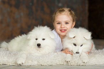 Little girl with a samoyed puppies