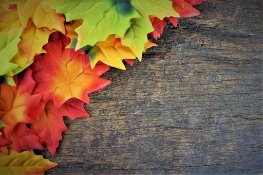 An Image of a autumn leaves background
