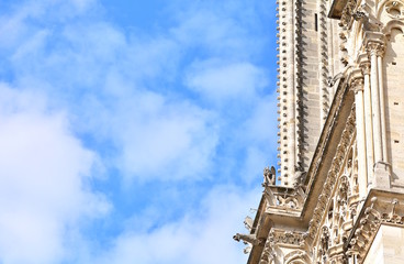 Fototapeta na wymiar Gargoyle on Notre Dame de Paris on background of skyline of Paris, France.