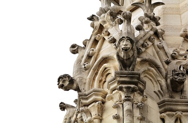 Obraz premium Gargoyle on Notre Dame de Paris on background of skyline of Paris, France.