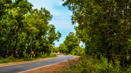 Fototapeta na wymiar Smooth Roads of South Goa with dense Jungle on both sides, India