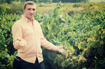 Vintner with clusters of grape