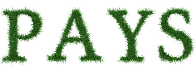 Pays - 3D rendering fresh Grass letters isolated on whhite background.