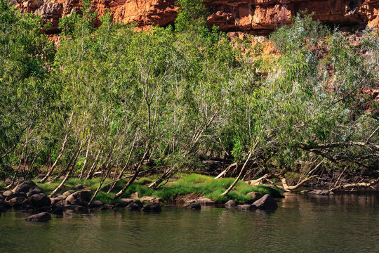 Vegetation blocking the river path at Katherine Gorge, NT, Australia