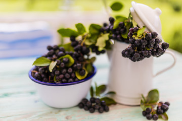 Fototapeta na wymiar Chokeberry fresh fruits in a jug on a table in the garden. 