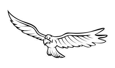 Falcon Bird Vector Drawing