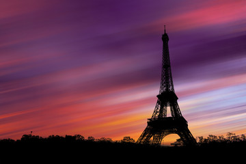 Fototapeta na wymiar Paris, with the Eiffel Tower