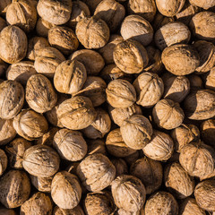 Peeled walnuts dried