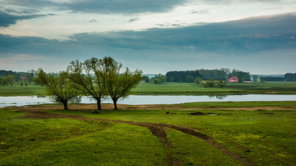 Narew river somewhere on Podlasie, Poland
