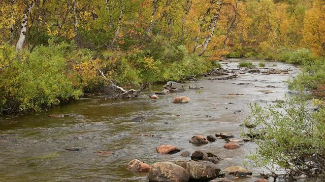 Very small river stream at the mountain of Finnmark, Norway in the autumn