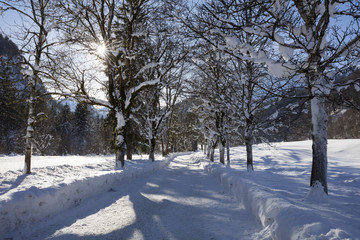 Winterlandschaft im Stillachtal, Oberstdorf, Allgäu, Bayern, Deutschland, Europa
