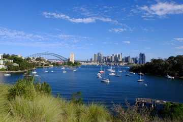 Obraz premium The harbour bridge view with the green grass.