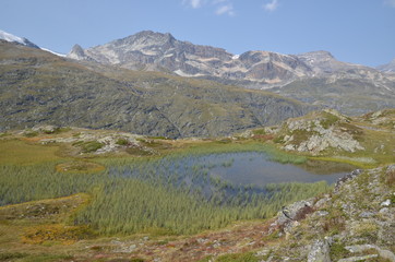 Fototapeta na wymiar Lac de Bellecombe Sud, Parc de la Vanoise, Alpes Françaises