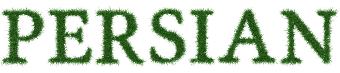 Persian - 3D rendering fresh Grass letters isolated on whhite background.