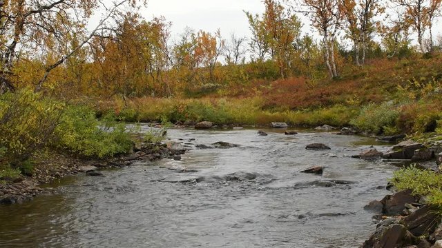 Small river stream at the mountain of Finnmark, Norway