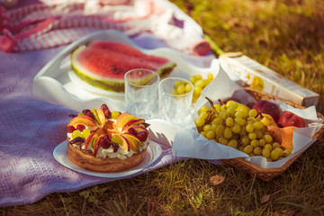 Fruit cake, grape and watermelon on plaid on the lawn