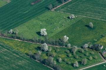 Vue aérienne de champs avec des arbres en fleur près de Passais dans l'Orne en France