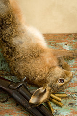 Hunting rifle and bullets