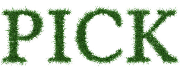 Pick - 3D rendering fresh Grass letters isolated on whhite background.
