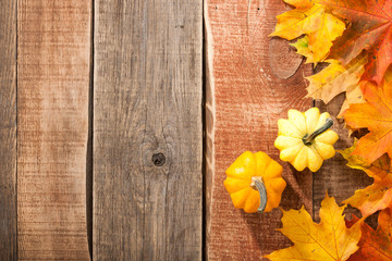 Thanksgiving background with pumpkins and maple leaves