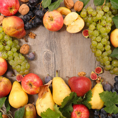 autumn fruit background