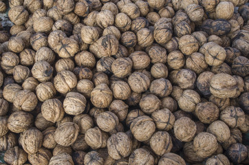 Walnuts shells