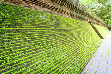 Old red brick with moss, nature background at temple Thailand
