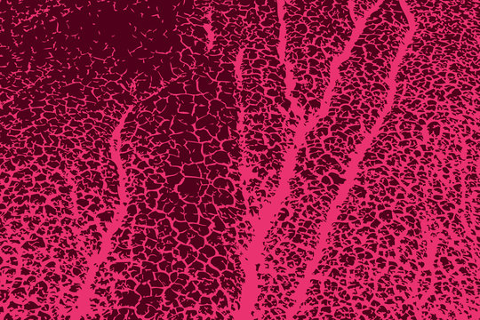 Retro Grunge plant macro Texture Background © VectorShots